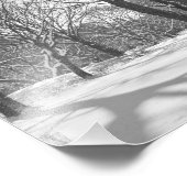 Central Park Snowfall B&W Foto Afdruk (Hoek)