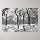 Central Park Snowfall B&W Poster (Voorkant)