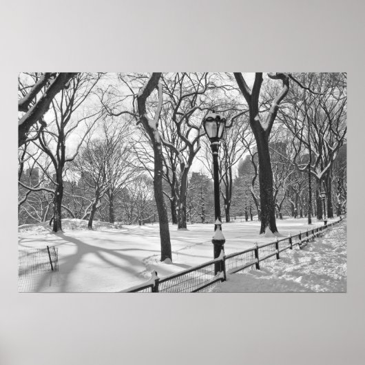 Central Park Snowfall B&W Poster (Voorkant)