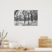 Central Park Snowfall B&W Poster (Keuken)