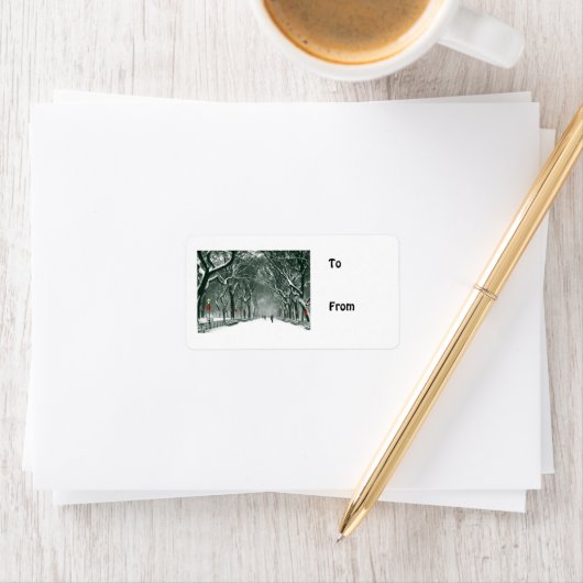 Central Park Snowy Path Etiket (Insitu)