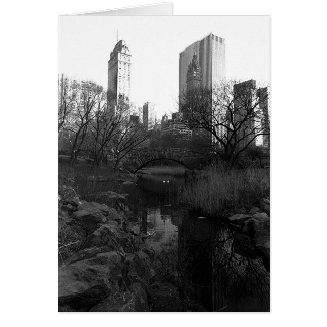 Central Park South Skyline NYC (Voorkant)