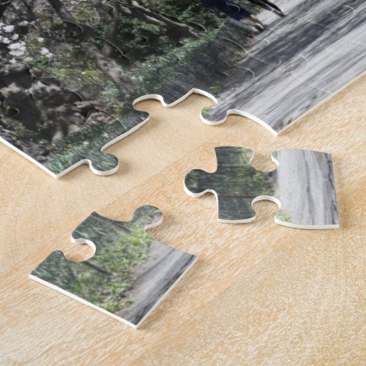 Central Park Spring Cherry Blossom New York NYC Legpuzzel (Zijkant)