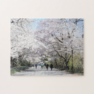 Central Park Spring Cherry Blossom New York NYC Legpuzzel