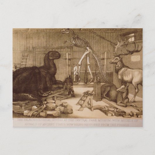 Central Park Studio Benjamin Waterhouse Hawkins Briefkaart (Voorkant)