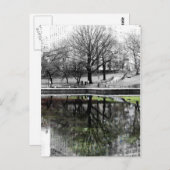 Central Park Tree Briefkaart (Voorkant / Achterkant)