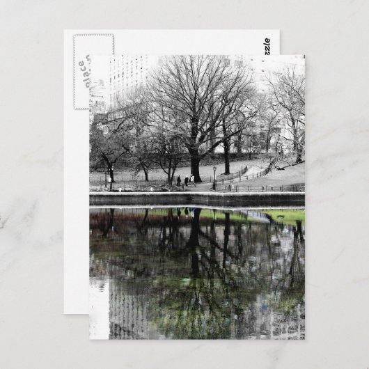 Central Park Tree Briefkaart (Voorkant / Achterkant)