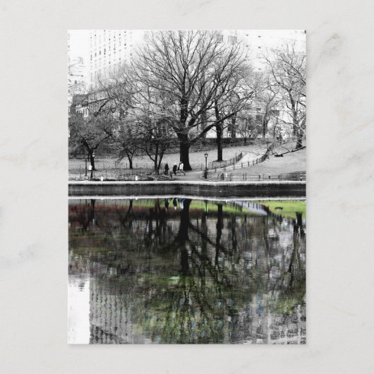 Central Park Tree Briefkaart (Voorkant)