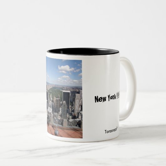 Central Park Uitzicht Tweekleurige Koffiemok (Voorkant rechts)