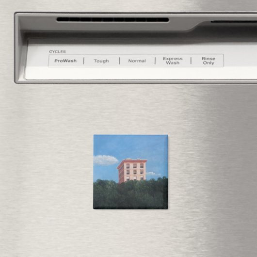 Central Park USA 2012 Magneet (Insitu (Vaatwasser))