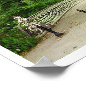 Central Park van de Southwest Reservoir Bridge, NY Poster (Hoek)