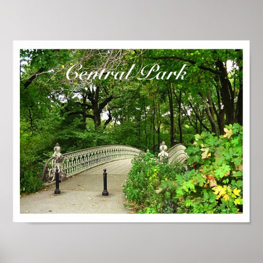 Central Park van de Southwest Reservoir Bridge, NY Poster (Voorkant)