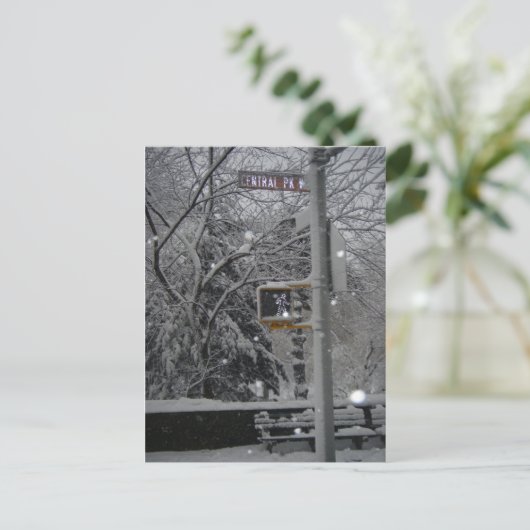 Central Park West New York City sneeuwnaars Briefkaart (Staand voorkant)