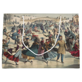 Central Park, winter. De skatvijver. New York Groot Cadeauzakje