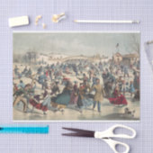 Central Park, winter. De skatvijver. New York Tissuepapier (Craft)