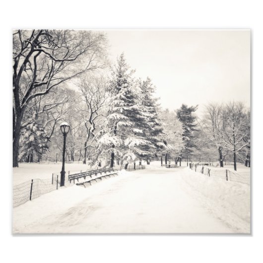 Central Park Winter Path - New York City Foto Afdruk (Voorkant)
