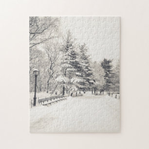 Central Park Winter Path - New York City Legpuzzel