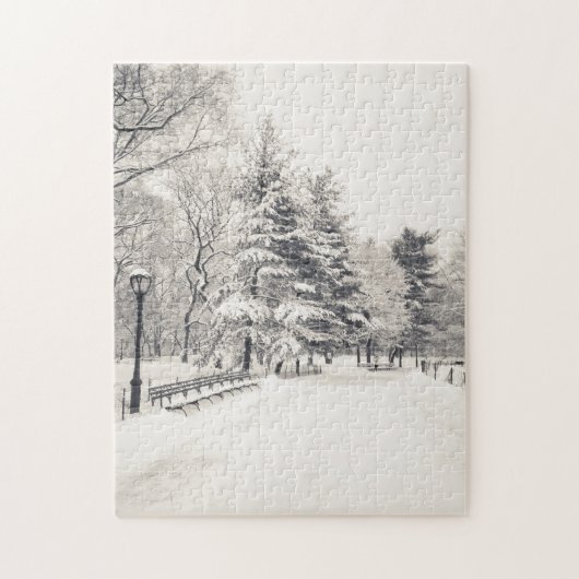 Central Park Winter Path - New York City Legpuzzel (Verticaal)
