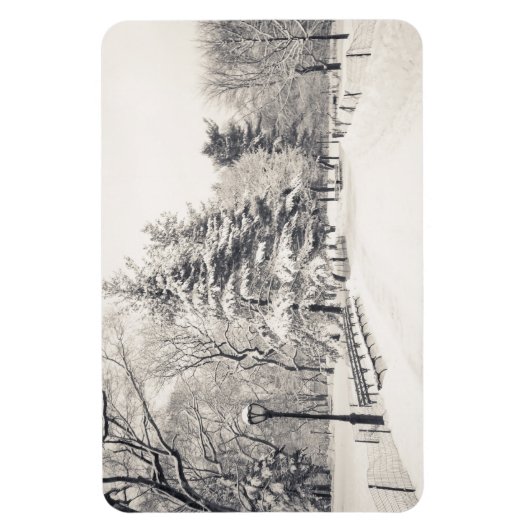 Central Park Winter Path - New York City Magneet (Verticaal)