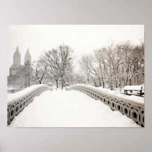 Central Park Winter Romance - Bodembrug Poster