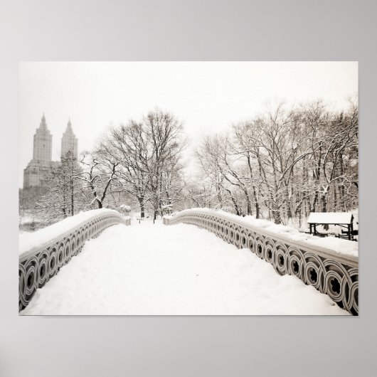 Central Park Winter Romance - Bodembrug Poster (Voorkant)