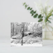 Central Park Winter Sneeuw Landschap Foto Briefkaart (Staand voorkant)