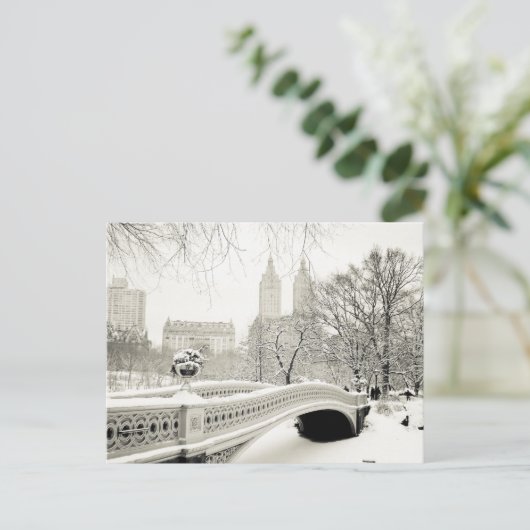 Central Park Winter - Sneeuwbrug Briefkaart (Staand voorkant)