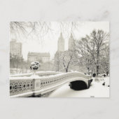 Central Park Winter - Sneeuwbrug Briefkaart (Voorkant)