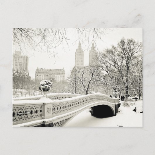Central Park Winter - Sneeuwbrug Briefkaart (Voorkant)