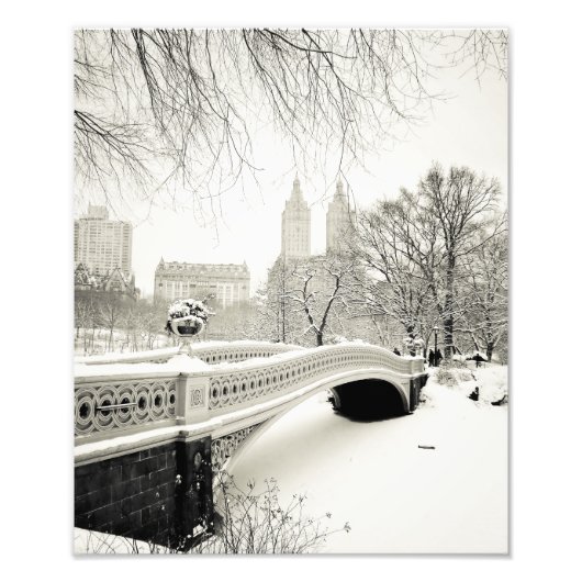 Central Park Winter - Sneeuwbrug Foto Afdruk (Voorkant)