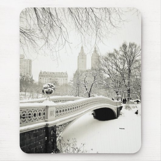Central Park Winter - Sneeuwbrug Muismat (Voorkant)