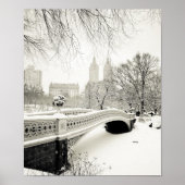 Central Park Winter - Sneeuwbrug Poster (Voorkant)