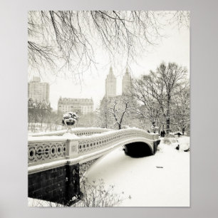 Central Park Winter - Sneeuwbrug Poster
