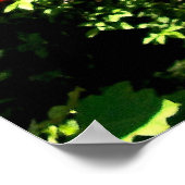 Central Park Zoo Poster (Hoek)