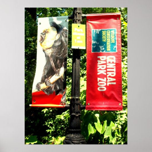 Central Park Zoo Poster (Voorkant)