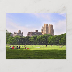 Central Park's Sheep Meadow Briefkaart