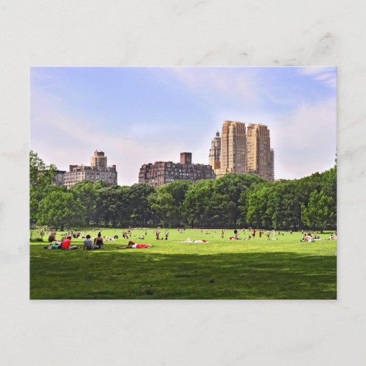 Central Park's Sheep Meadow Briefkaart (Voorkant)