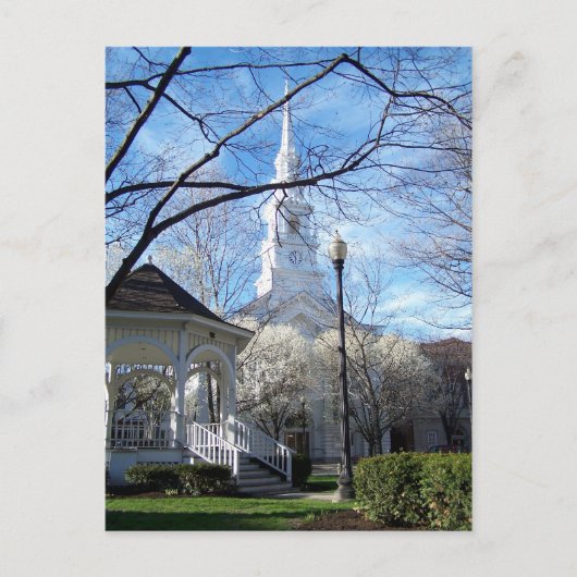 Central Square, Keene, NH 1 Briefkaart (Voorkant)