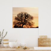 Central Texas Sunset Poster (Keuken)