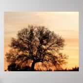 Central Texas Sunset Poster (Voorkant)