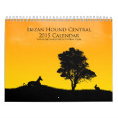 Centrale agenda Ibizan 2015 Kalender (Hoes)