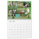 Centrale agenda Ibizan 2015 Kalender (Mar 2027)