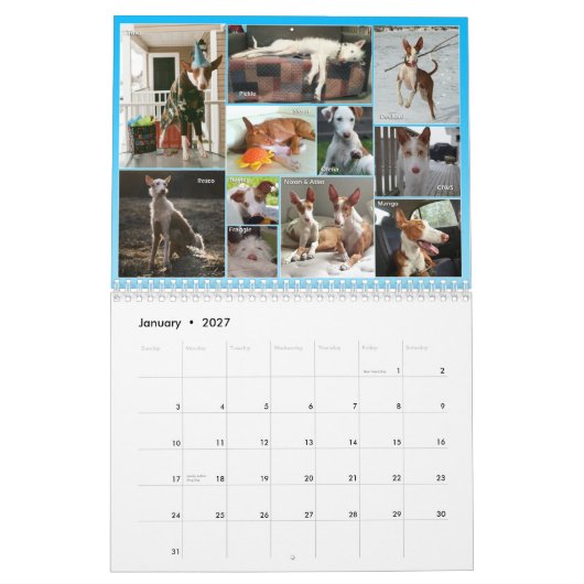 Centrale agenda Ibizan 2015 Kalender (Jan 2027)
