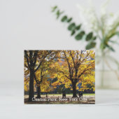 Centrale Park New York Herfst Gele Bomen Briefkaart (Staand voorkant)