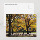 Centrale Park New York Herfst Gele Bomen Briefkaart (Voorkant / Achterkant)