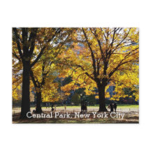 Centrale Park New York Herfst Gele Bomen