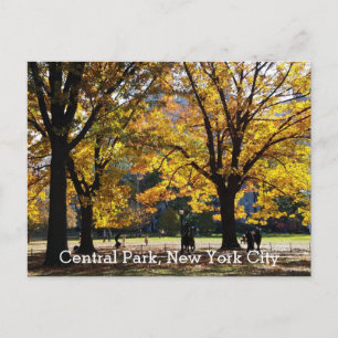 Centrale Park New York Herfst Gele Bomen Briefkaart
