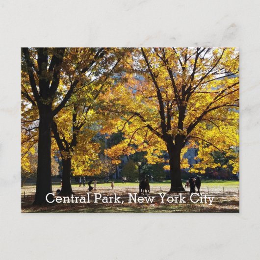 Centrale Park New York Herfst Gele Bomen Briefkaart (Voorkant)