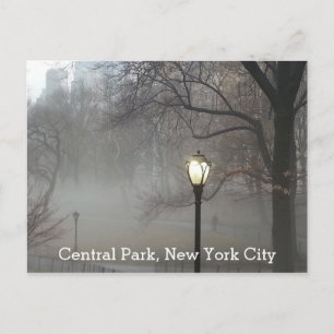 Centrale Park New York Winternevel Schitterend Uit Briefkaart