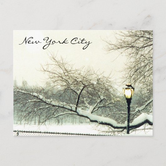 centrale park nyc - boom briefkaart (Voorkant)